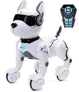 Roboter Kinder Hund