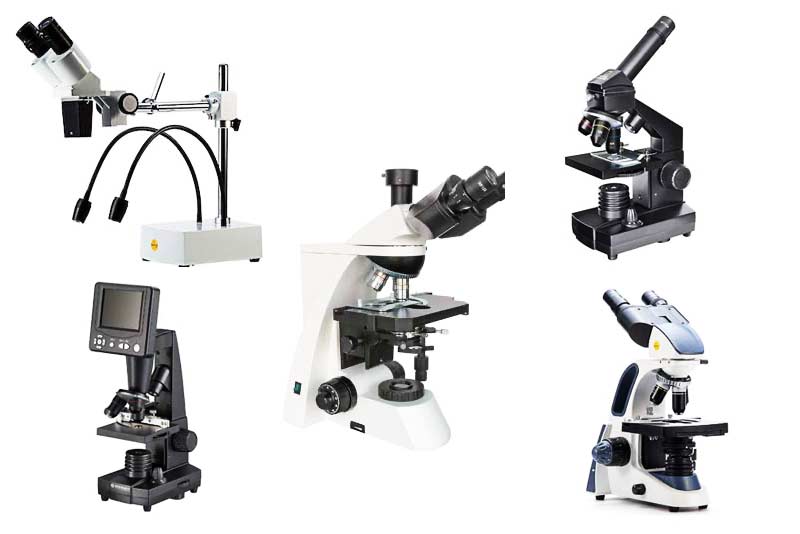 Mikroskope für zuhause