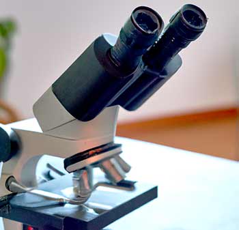 Ein Mikroskop für Kinder steht auf einem Schreibtisch