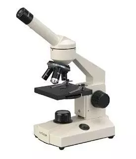 Lichtmikroskop 3