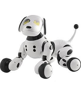 Roboter Hund
