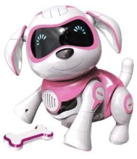 Roboter Hund 6