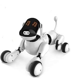 Roboter Hund 8