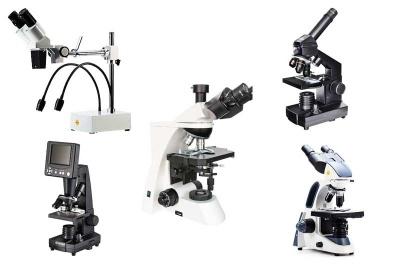 Das sind die 8 besten Mikroskope für dich zur Auswahl